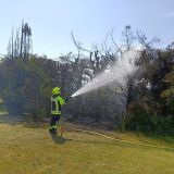 Brand