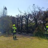 Brand
