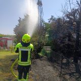 Brand